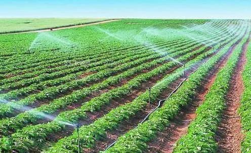 免费男女床上干B视频农田高 效节水灌溉
